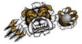 Bulldog Golf Sports Mascot Royalty Free Stock Photo