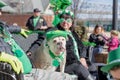 Bulldog in green costume for St. Patrick`s Day Royalty Free Stock Photo