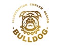 Bulldog head logo - vector illustration, golden emblem