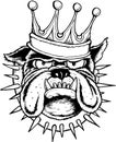 Bulldog king