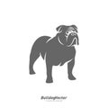 Bulldog logo design vector template. Silhouette of Bulldog design illustration