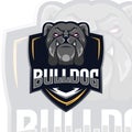 Bulldog Logo Mascot Vector Illustration for teammate