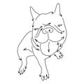 Bulldog made from arrows vector illustration sketch doodle hand drawn with black lines isolated on white background Royalty Free Stock Photo