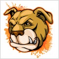 Bulldog Mascot Cartoon Head