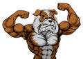 Bulldog Mascot