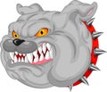 Bulldog Mascot Cartoon