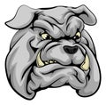 Bulldog mascot character Royalty Free Stock Photo