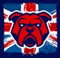 Bulldog Mascot on Grunge British Flag