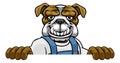 Bulldog Mascot Plumber Mechanic Handyman Worker Royalty Free Stock Photo