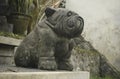 Cute and funny Bulldog sculpture. Statue guardian dog