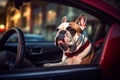Bulldog Sitting in Car Image. Generative AI