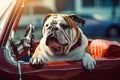 Bulldog Sitting in Car Image. Generative AI