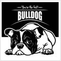 Bulldog - vector illustration for t-shirt, logo and template badges