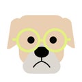 Bulldog wearing glasses simple art geometric illustration Royalty Free Stock Photo