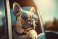 Bulldog wearing sunglasses in the car window. Generate ai