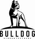 bulldog wild logo design vector