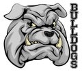 Bulldogs Sports Mascot Royalty Free Stock Photo