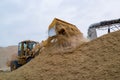 Bulldozer loading rice husk