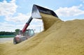 The bulldozer moves the grain into a large pile with a bucket.