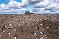 Bulldozer moving waste on a landfill site Royalty Free Stock Photo