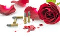 Bullet On Blood And Red Rose On White Background