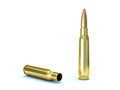 Bullet cartridge