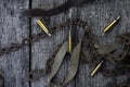 Bullet shells and rusy chain resting on wooden table