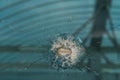 bullet hole in glass - authentic shot - closeup isolated on white. Royalty Free Stock Photo