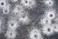 Bullet hole pattern of lead splatters on a target Royalty Free Stock Photo