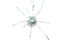 Bullet hole in the thick glass Royalty Free Stock Photo