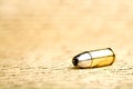 Bullet macro Royalty Free Stock Photo