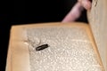 Bullet that pierced a history book.