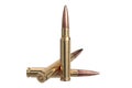 Bullet rifle ammunition