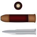 Bullet and shell isolated Royalty Free Stock Photo
