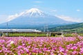 Bullet train with Mt. Fuji Royalty Free Stock Photo