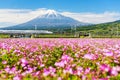 Bullet train pass Mt. Fuji