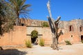 Bullet tree at Arkadi Monastery. Royalty Free Stock Photo