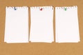 Torn note paper pinned to cork notice board background, copy space Royalty Free Stock Photo