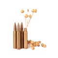 Bullets and cartridge case with beautiful dry plant isolated on white Royalty Free Stock Photo