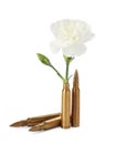 Bullets and cartridge case with beautiful flower isolated on white Royalty Free Stock Photo