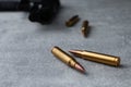 Bullets and handgun on light grey table, closeup. Space for text Royalty Free Stock Photo