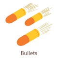 Bullets icon, isometric 3d style