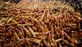 Bullets stacked in large quantities at an ammunition storage facility Royalty Free Stock Photo