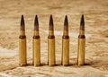 Bullets on wooden texture standing on a row