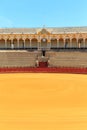 Bullfight arena, plaza de toros in Seville,La Maestranza