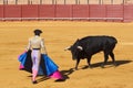 Bullfight