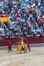 Bullfight in Madrid, Spain