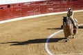 Bullfight, traditional celebration