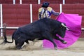 Bullfighter Royalty Free Stock Photo
