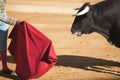 Bullfighter with the Cape in the Bullfight